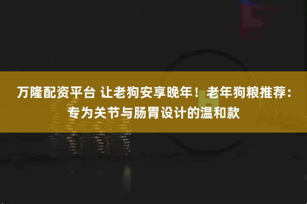 万隆配资平台 让老狗安享晚年！老年狗粮推荐：专为关节与肠胃设计的温和款