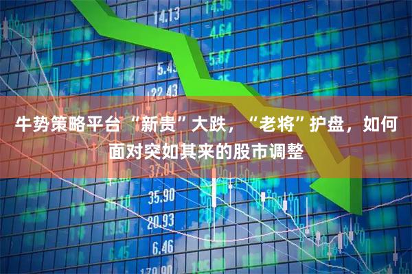 牛势策略平台 “新贵”大跌，“老将”护盘，如何面对突如其来的股市调整