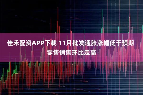 佳禾配资APP下载 11月批发通胀涨幅低于预期 零售销售环比走高